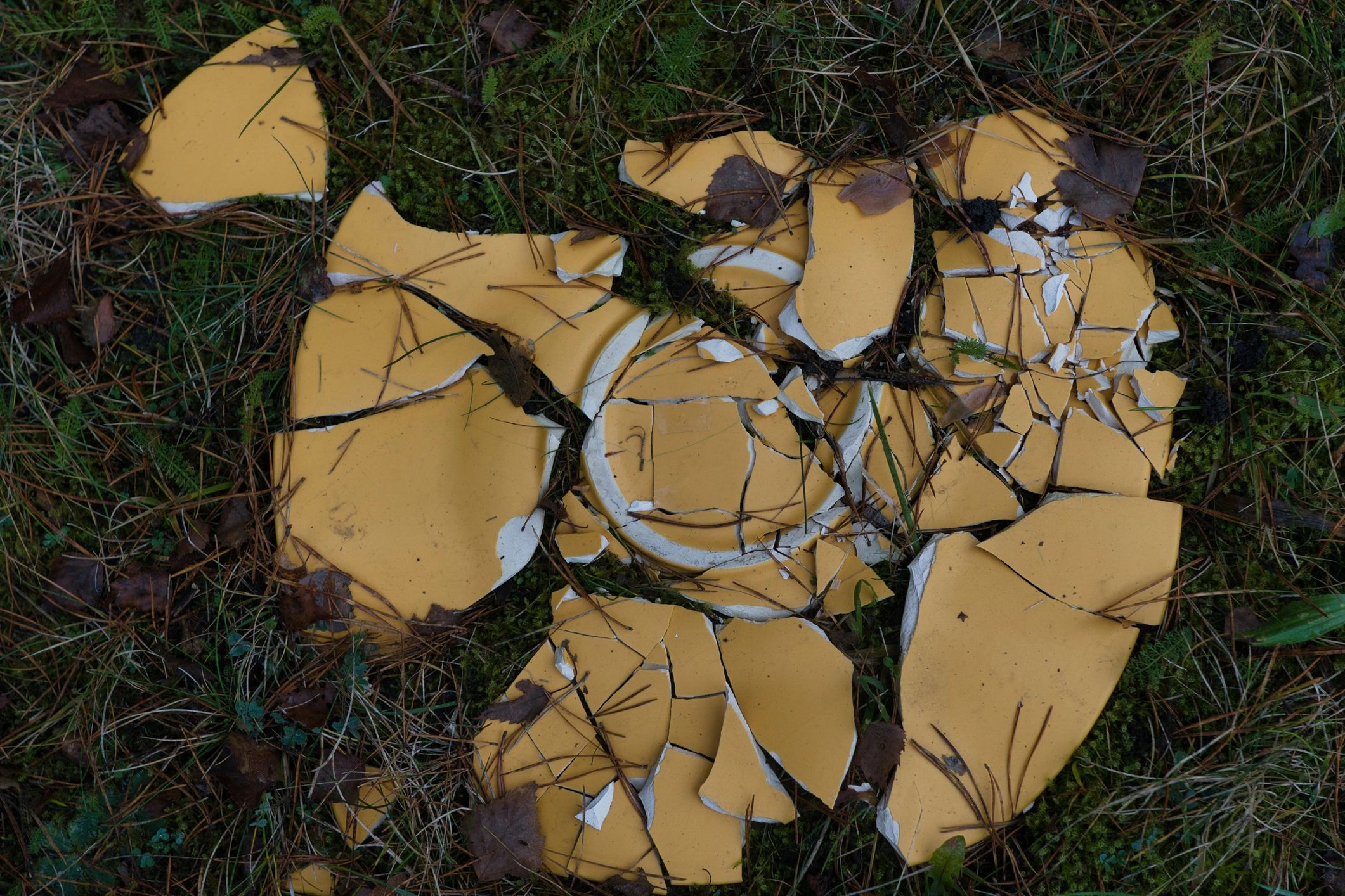 Broken plate pieces arranged like a visual puzzle