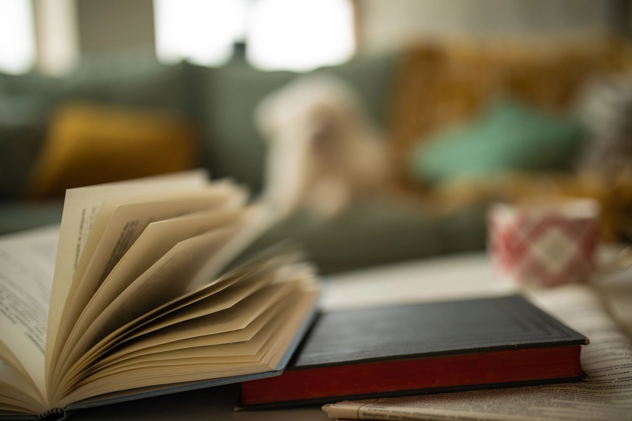 Books displayed on a coffee table in a cozy living room