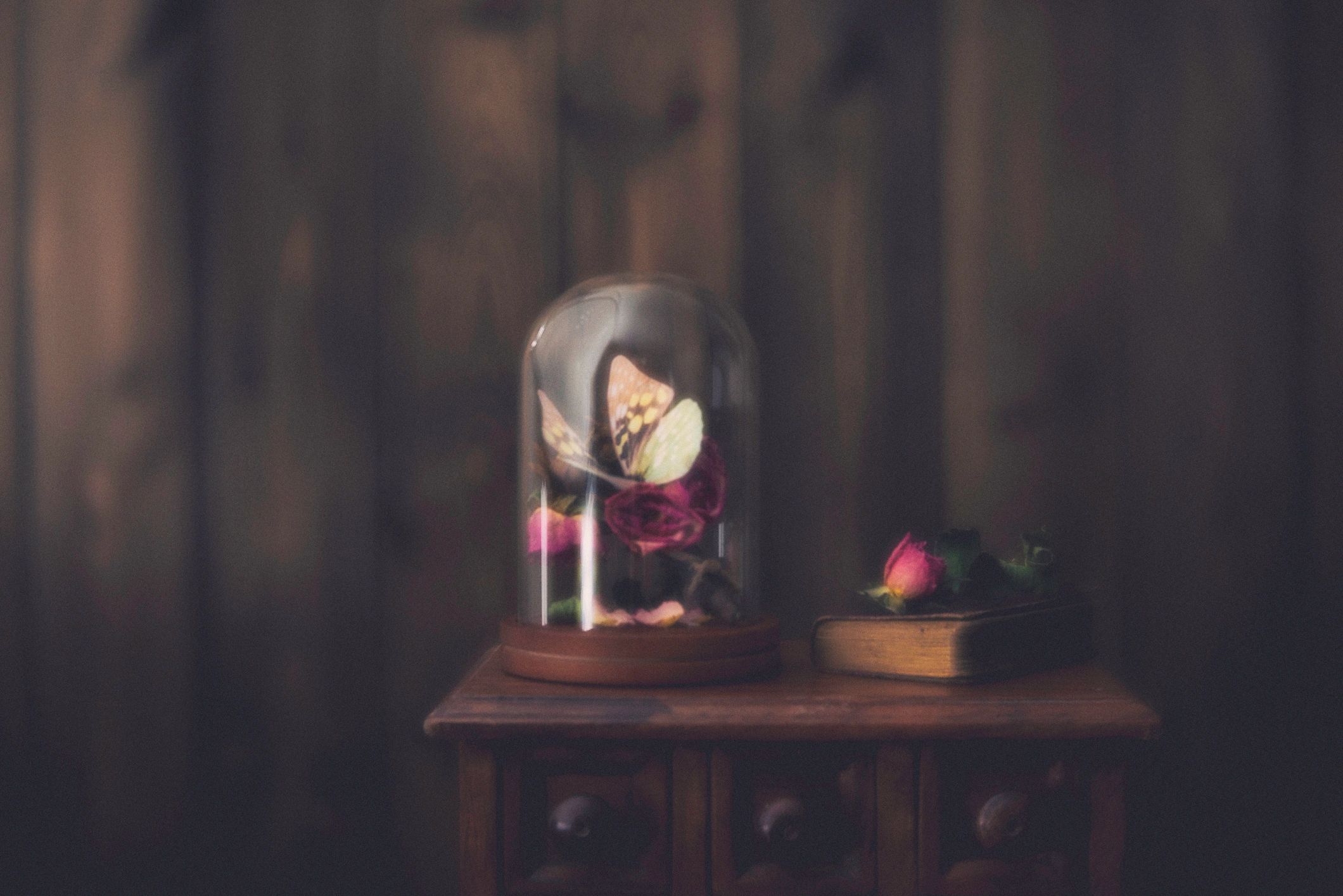 Decorative still life with dried roses and a small book under glass